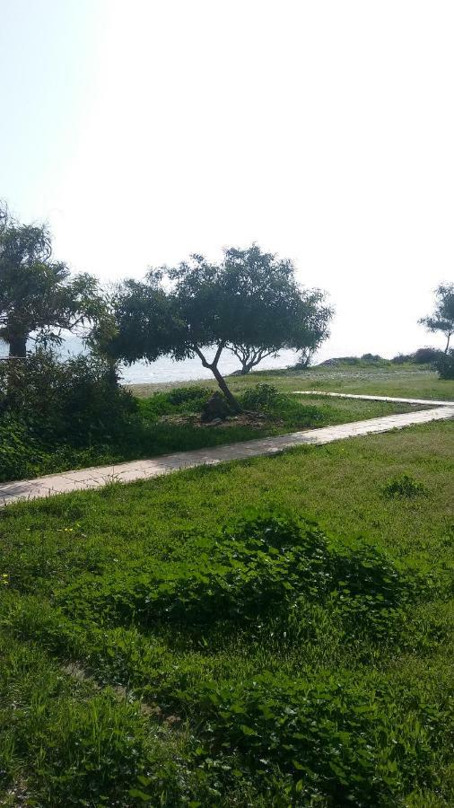 Il Mare Villa Larnaca Bagian luar foto